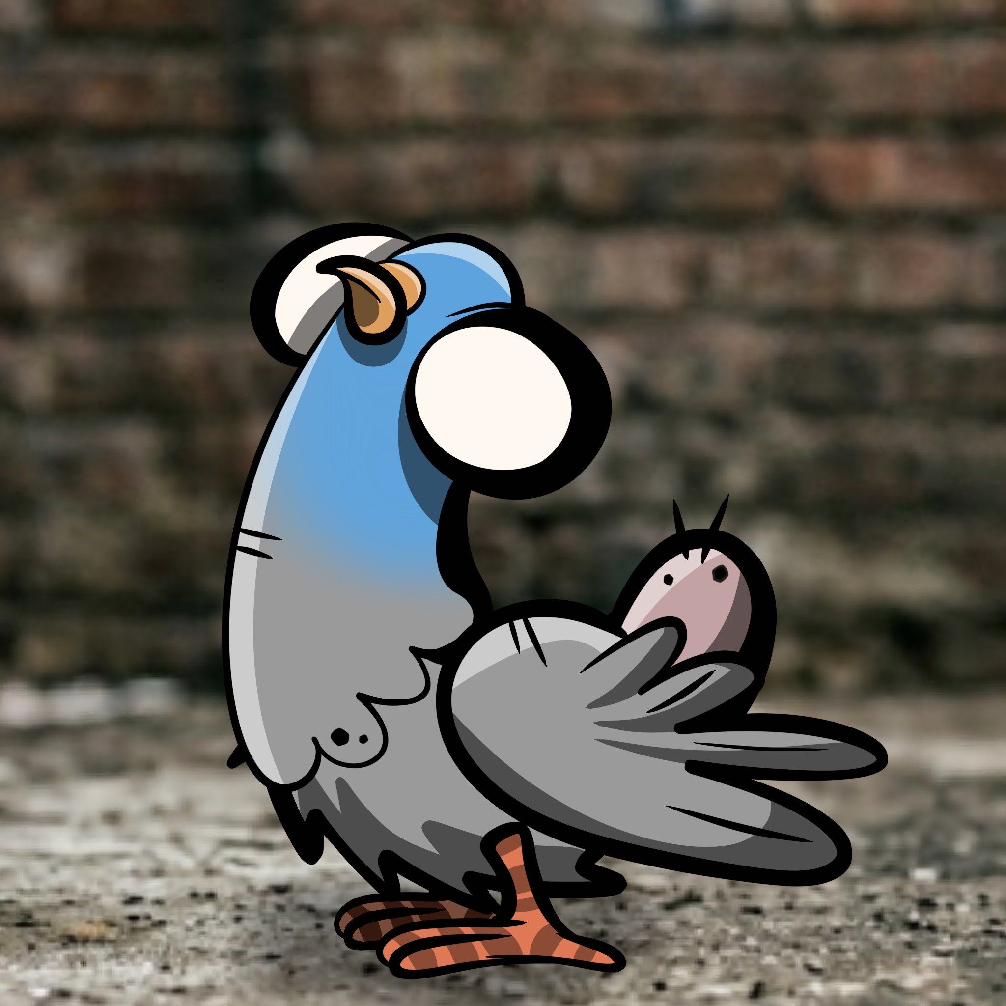 Pigeon #6